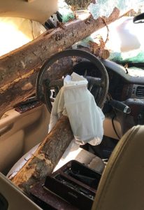 logs-in-driver-206x300